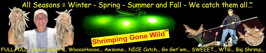 “Shrimping Gone Wild™” is Florida’s premier shrimping club and forum are you ready for some wild shrimping adventures. “Shrimping Gone Wild™” is Florida’s premier shrimping club and forum are you ready for some wild shrimping adventures.