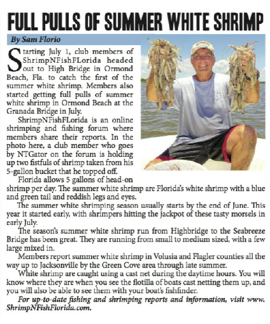 “Shrimping Gone Wild™” is Florida’s premier shrimping club and forum are you ready for some wild shrimping adventures. “Shrimping Gone Wild™” is Florida’s premier shrimping club and forum are you ready for some wild shrimping adventures.