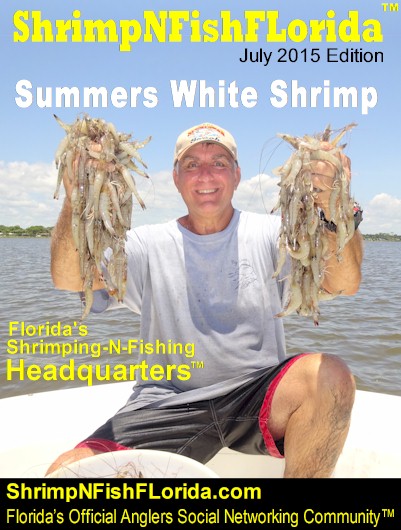“Shrimping Gone Wild™” is Florida’s premier shrimping club and forum are you ready for some wild shrimping adventures. “Shrimping Gone Wild™” is Florida’s premier shrimping club and forum are you ready for some wild shrimping adventures.
